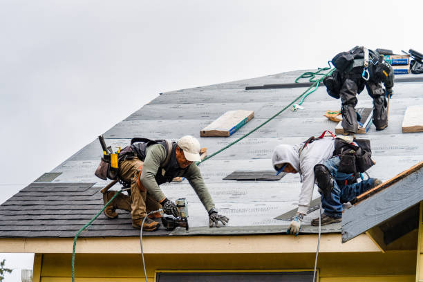 Professional Gutter Installation technician working in Lucama, NC